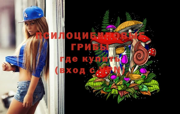 хмурый Богданович