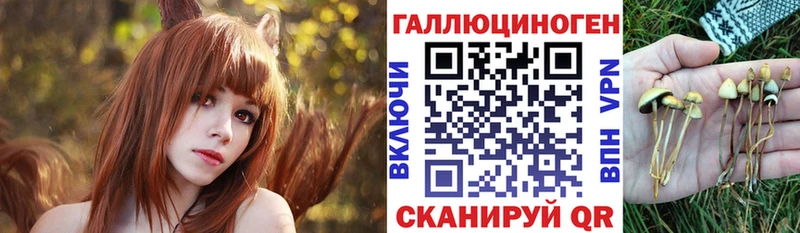 Купить  Окуловка  Псилоцибиновые грибы Psilocybe 